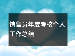 銷售員年度考核個人工作總結(jié)