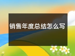 銷售年度總結(jié)怎么寫