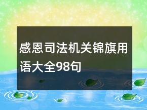 感恩司法機(jī)關(guān)錦旗用語大全98句