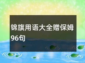 錦旗用語大全贈保姆96句