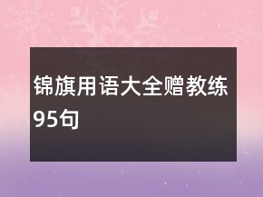 錦旗用語(yǔ)大全贈(zèng)教練95句
