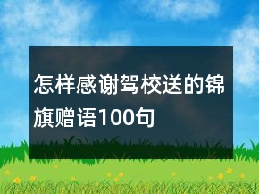 怎樣感謝駕校送的錦旗贈語100句