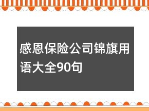 感恩保險公司錦旗用語大全90句