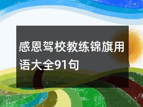 感恩駕校教練錦旗用語大全91句