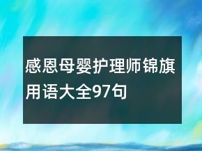 感恩母嬰護理師錦旗用語大全97句