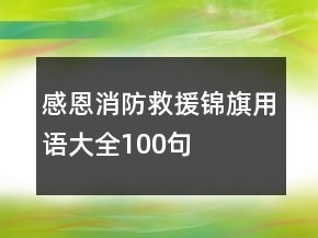 感恩消防救援錦旗用語大全100句