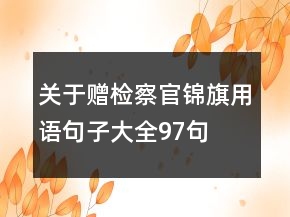 關(guān)于贈檢察官錦旗用語句子大全97句