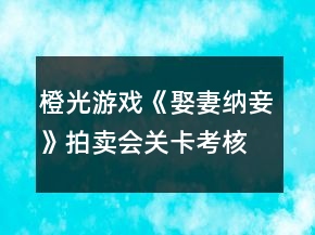 橙光游戲《娶妻納妾》拍賣會關卡考核攻略