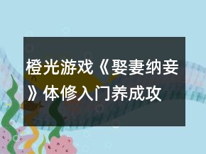 橙光游戲《娶妻納妾》體修入門(mén)養(yǎng)成攻略