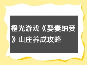橙光游戲《娶妻納妾》山莊養(yǎng)成攻略
