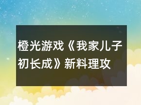 橙光游戲《我家兒子初長成》新料理攻略