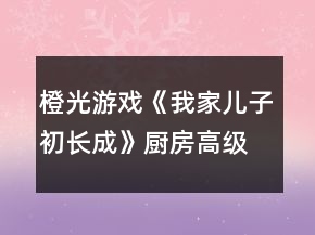 橙光游戲《我家兒子初長成》廚房高級餐飲攻略