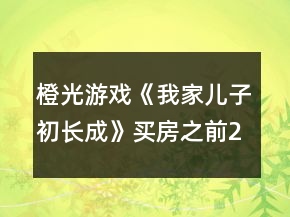 橙光游戲《我家兒子初長(zhǎng)成》買房之前25花攻略