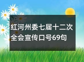 紅河州委七屆十二次全會宣傳口號69句