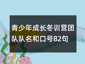 青少年成長(zhǎng)冬訓(xùn)營(yíng)團(tuán)隊(duì)隊(duì)名和口號(hào)82句