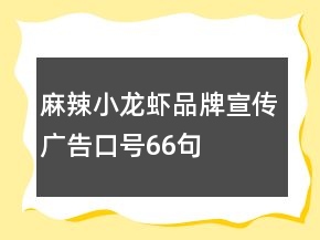 麻辣小龍蝦品牌宣傳廣告口號66句