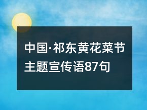 中國·祁東黃花菜節(jié)主題宣傳語87句