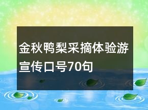 金秋鴨梨采摘體驗游宣傳口號70句