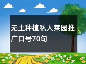 無(wú)土種植私人菜園推廣口號(hào)70句
