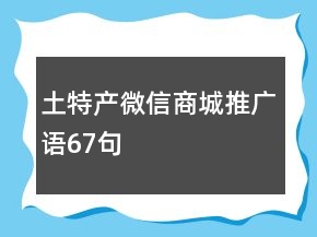 土特產(chǎn)微信商城推廣語67句
