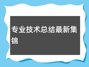 專業(yè)技術(shù)總結(jié)最新集錦