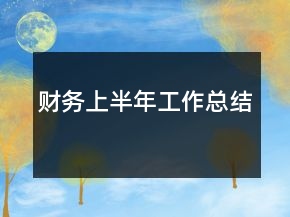 財(cái)務(wù)上半年工作總結(jié)