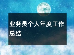 業(yè)務(wù)員個人年度工作總結(jié)