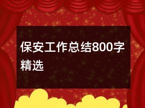 保安工作總結(jié)800字精選