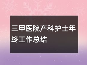 三甲醫(yī)院產(chǎn)科護(hù)士年終工作總結(jié)