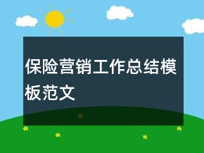 保險營銷工作總結(jié)模板范文