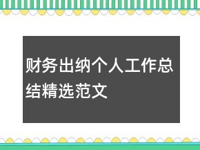 財務出納個人工作總結精選范文