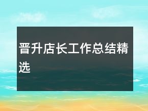 晉升店長工作總結(jié)精選