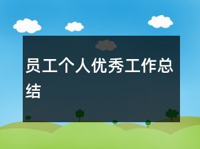 員工個人優(yōu)秀工作總結(jié)