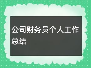 公司財(cái)務(wù)員個(gè)人工作總結(jié)