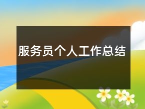 服務(wù)員個(gè)人工作總結(jié)