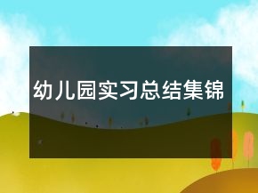 幼兒園實習(xí)總結(jié)集錦