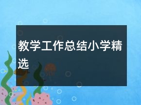 教學(xué)工作總結(jié)小學(xué)精選