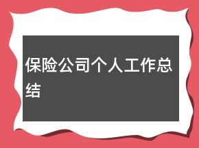 保險公司個人工作總結(jié)
