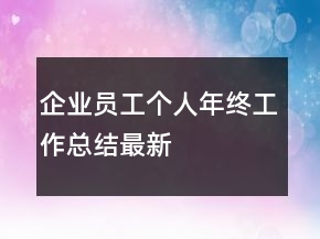 企業(yè)員工個(gè)人年終工作總結(jié)最新