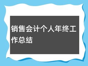 銷售會計個人年終工作總結(jié)