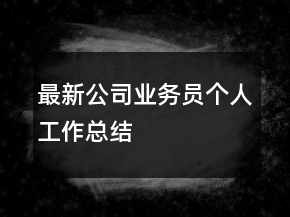 最新公司業(yè)務(wù)員個人工作總結(jié)