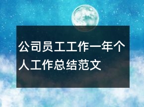公司員工工作一年個(gè)人工作總結(jié)范文