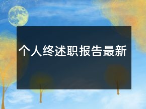 個人終述職報告最新