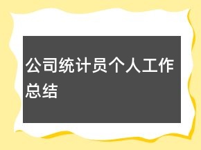 公司統(tǒng)計(jì)員個(gè)人工作總結(jié)