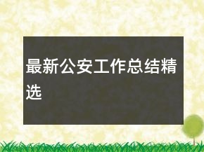 最新公安工作總結(jié)精選