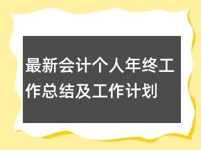 最新會(huì)計(jì)個(gè)人年終工作總結(jié)及工作計(jì)劃