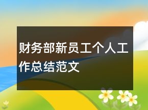 財務部新員工個人工作總結范文