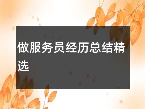 做服務(wù)員經(jīng)歷總結(jié)精選