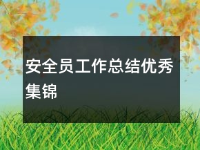 安全員工作總結(jié)優(yōu)秀集錦