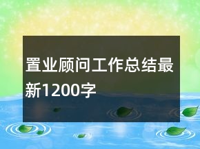 置業(yè)顧問(wèn)工作總結(jié)最新1200字